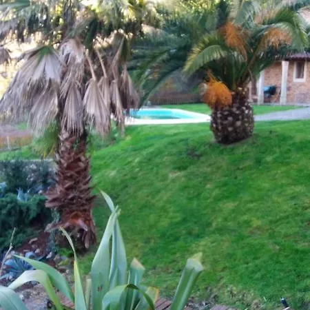 House With One Bedroom In With Wonderful Mountain View Private Pool Enclosed Garden 12 Km From The Beach Holiday home Caminha